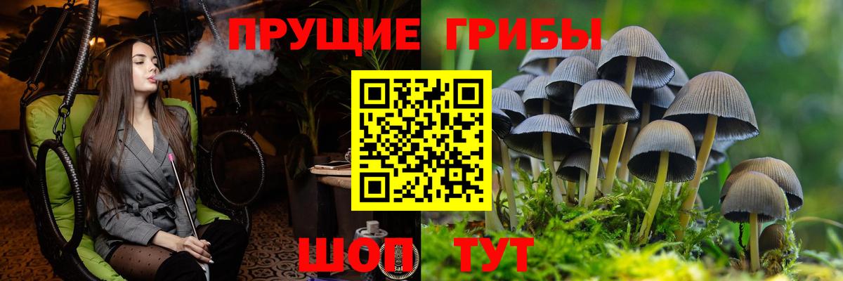 Якутск  Галлюциногенные грибы Cubensis  Вход с VPN  закладка  Псилоцибиновые грибы GOLDEN TEACHER 